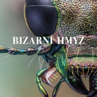 Fascinující svět hmyzu představuje Moravské zemské muzeum